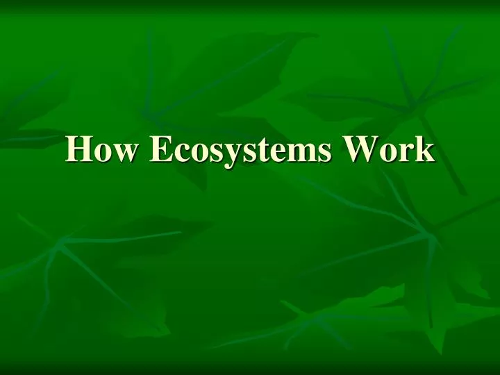 how ecosystems work