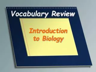 Vocabulary Review