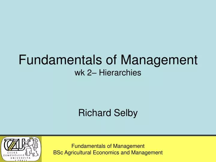 fundamentals of management wk 2 hierarchies
