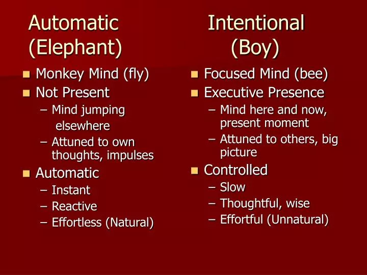 automatic intentional elephant boy