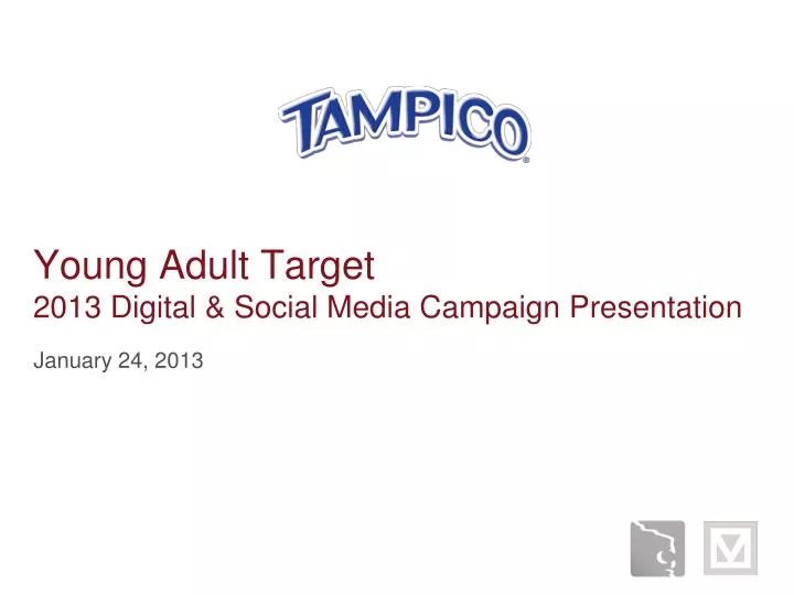 young adult target 2013 digital social media campaign presentation