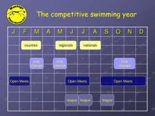 The competitive swimming year