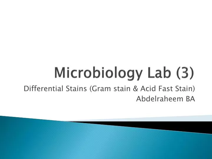 microbiology lab 3