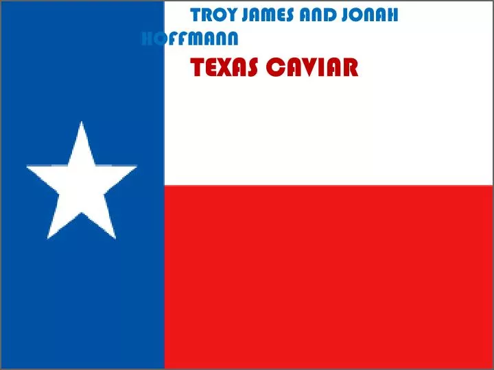 troy james and jonah hoffmann texas caviar