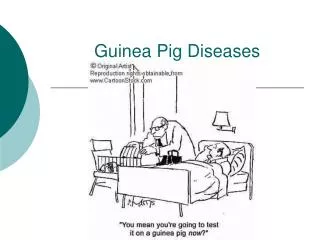 Guinea Pig Diseases