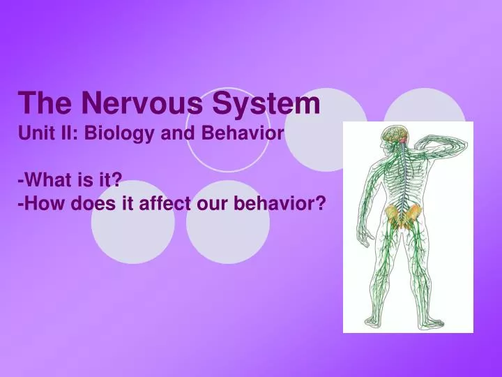 the nervous system unit ii biology and behavior what is it how does it affect our behavior