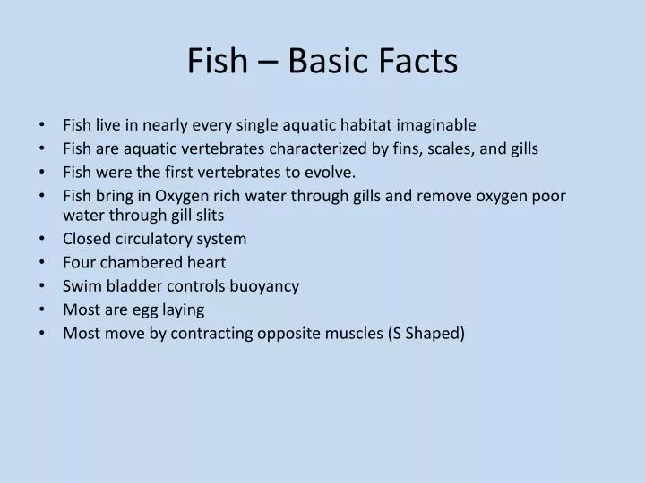 fish basic facts