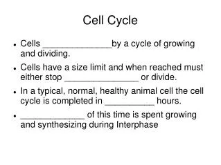 Cell Cycle