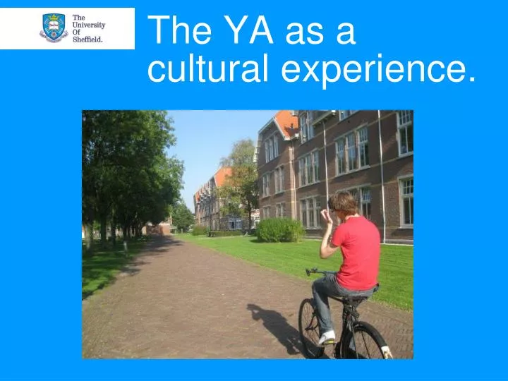 the ya as a cultural experience