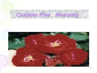 Chapter Five Meaning