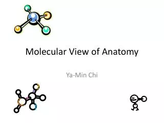 Molecular View of Anatomy