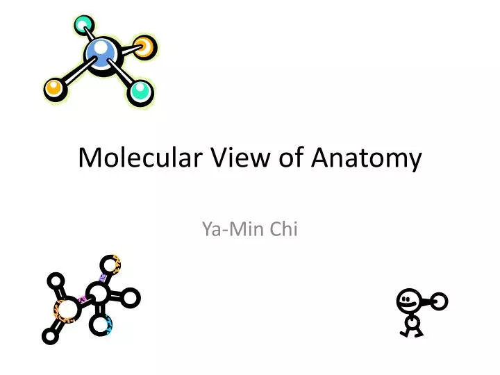 molecular view of anatomy