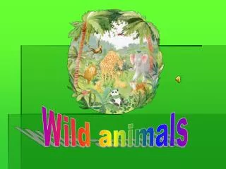 Wild animals