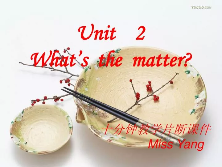 unit 2 what s the matter