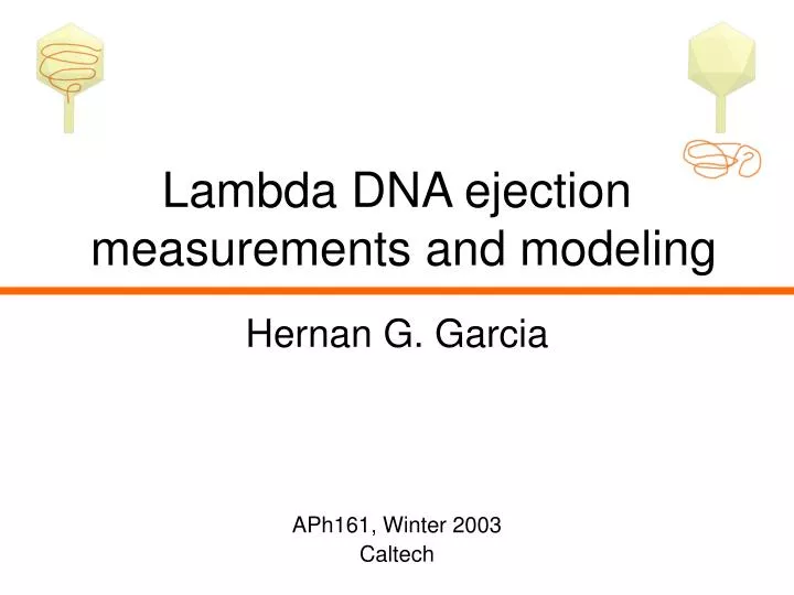 lambda dna ejection measurements and modeling