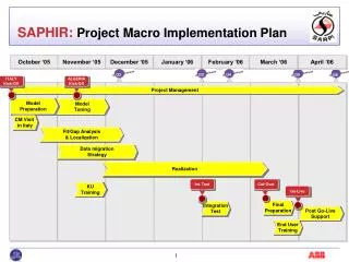 SAPHIR: Project Macro Implementation Plan
