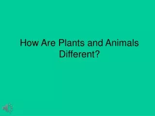 How Are Plants and Animals Different?