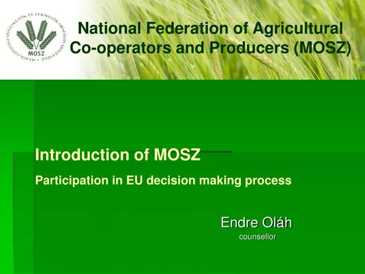 introduction of mosz participation in eu decision making process