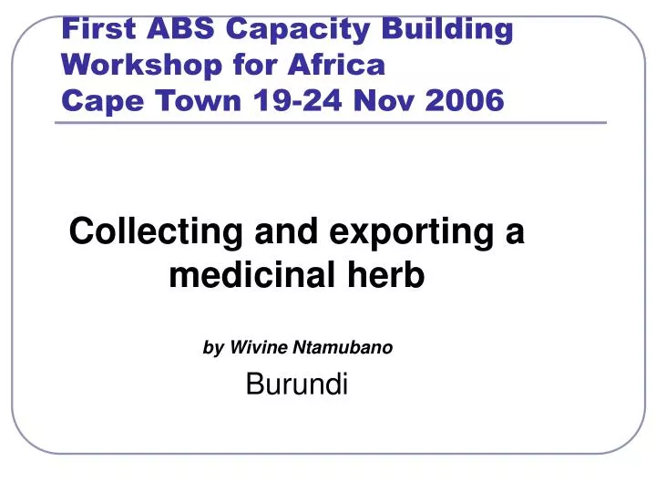 collecting and exporting a medicinal herb by wivine ntamubano burundi