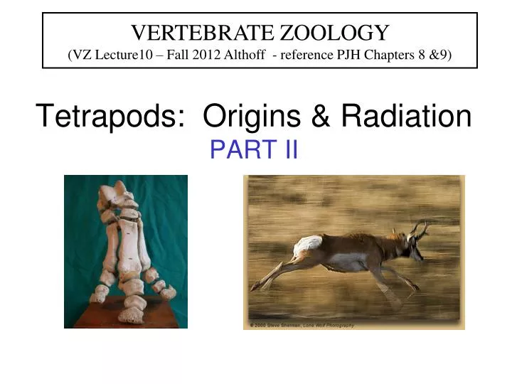 tetrapods origins radiation part ii