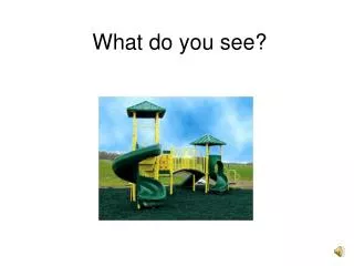 what do you see