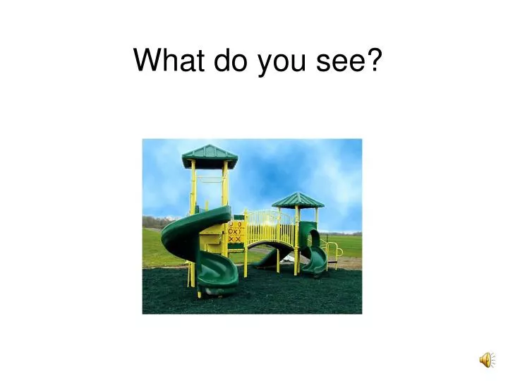what do you see