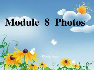 Module 8 Photos
