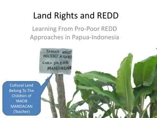 Land Rights and REDD