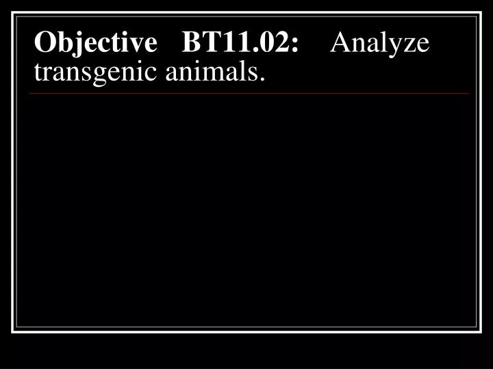 objective bt11 02 analyze transgenic animals