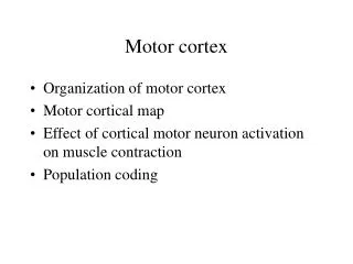 Motor cortex