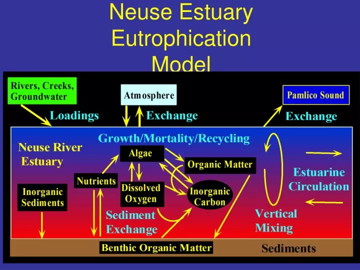 neuse estuary eutrophication model