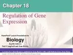 Chapter 18 - slide 1
