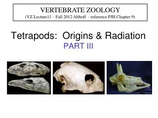 Tetrapods: Origins &amp; Radiation PART III