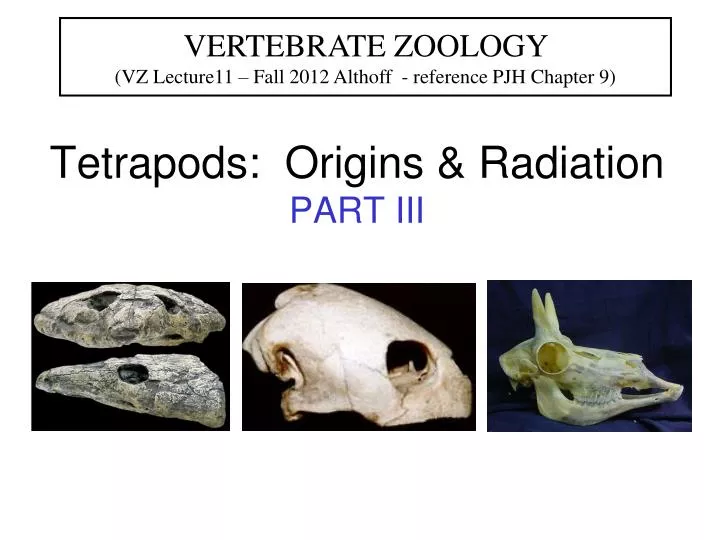 tetrapods origins radiation part iii