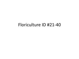 Floriculture ID #21-40