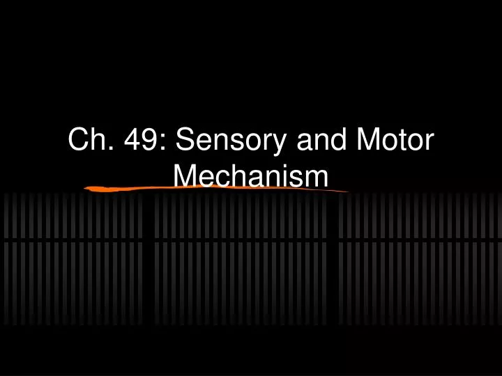 ch 49 sensory and motor mechanism