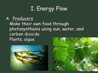 I. Energy Flow