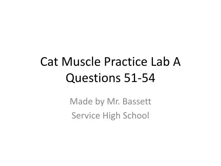 cat muscle practice lab a questions 51 54