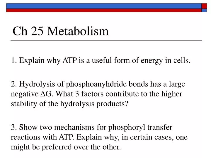 ch 25 metabolism