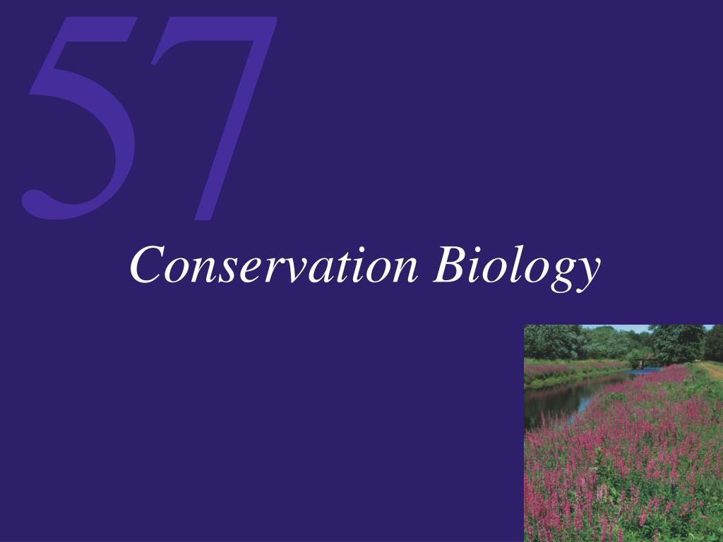 PPT - Conservation Biology PowerPoint Presentation, free download - ID ...