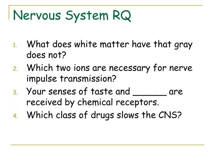 nervous system rq