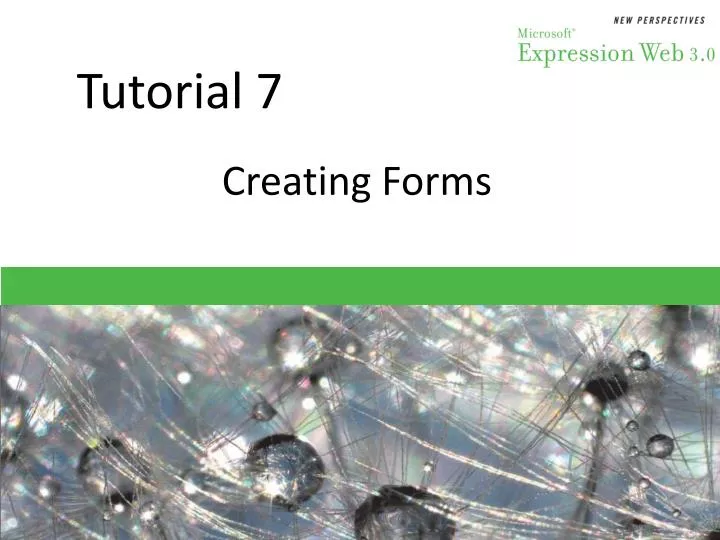 tutorial 7