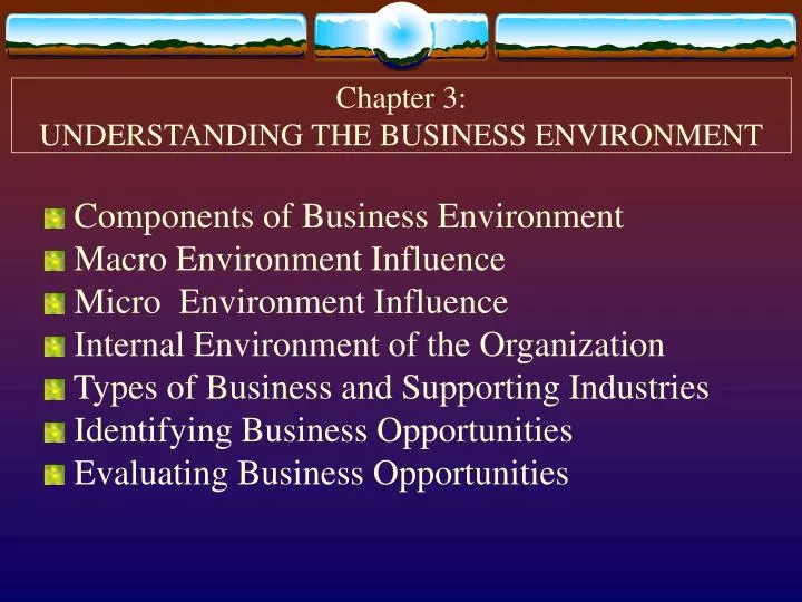 chapter 3 understanding the business environment