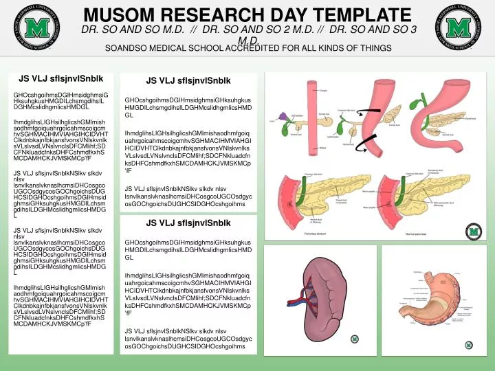 musom research day template