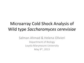 Microarray Cold Shock Analysis of Wild type Saccharomyces cerevisiae