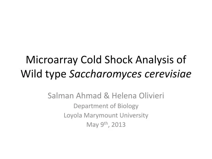 microarray cold shock analysis of wild type saccharomyces cerevisiae