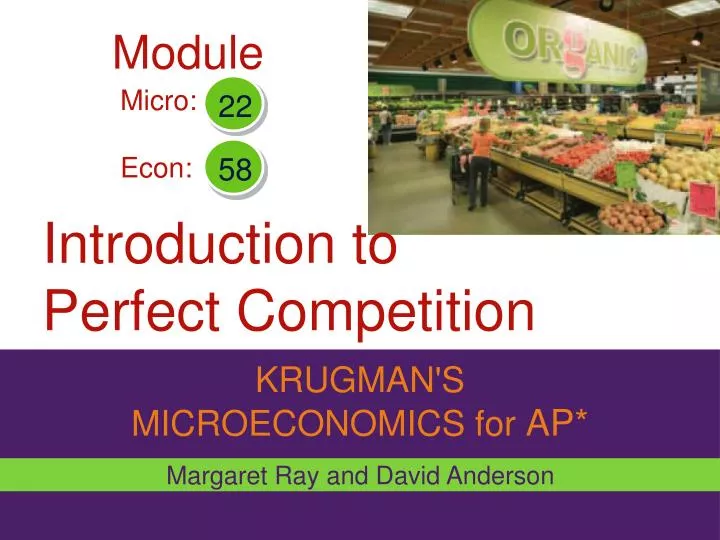 introduction to perfect competition