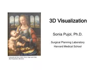 3D Visualization