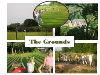 The Grounds