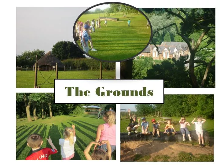 the grounds